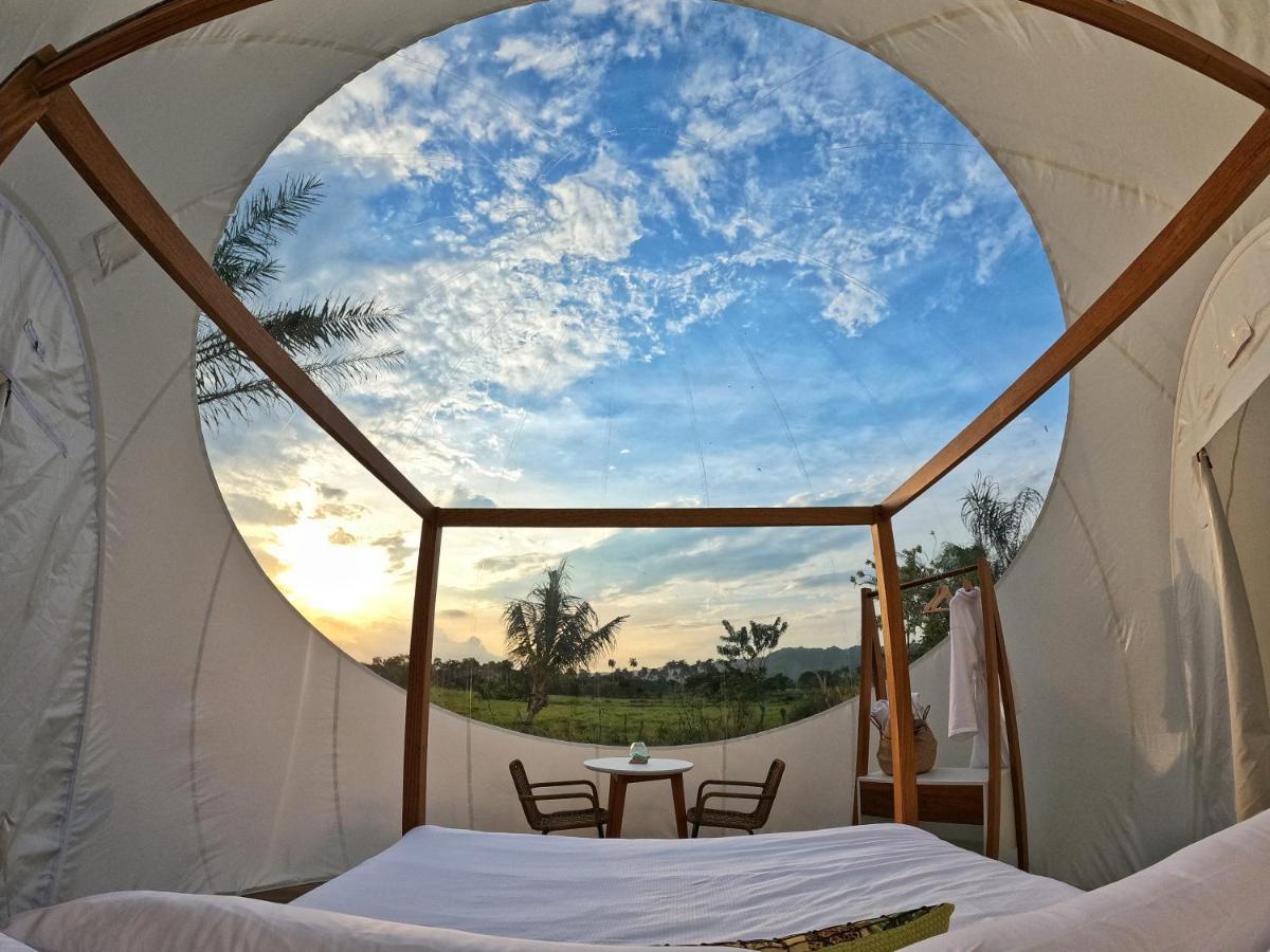Greenland Bubble Glamping Cabarete Eksteriør bilde