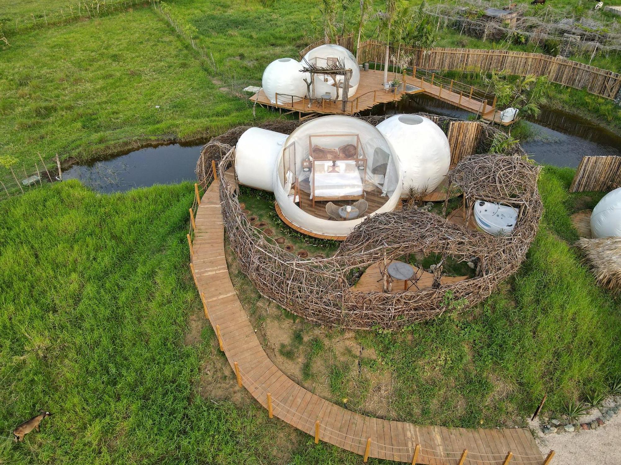 Greenland Bubble Glamping Cabarete Rom bilde