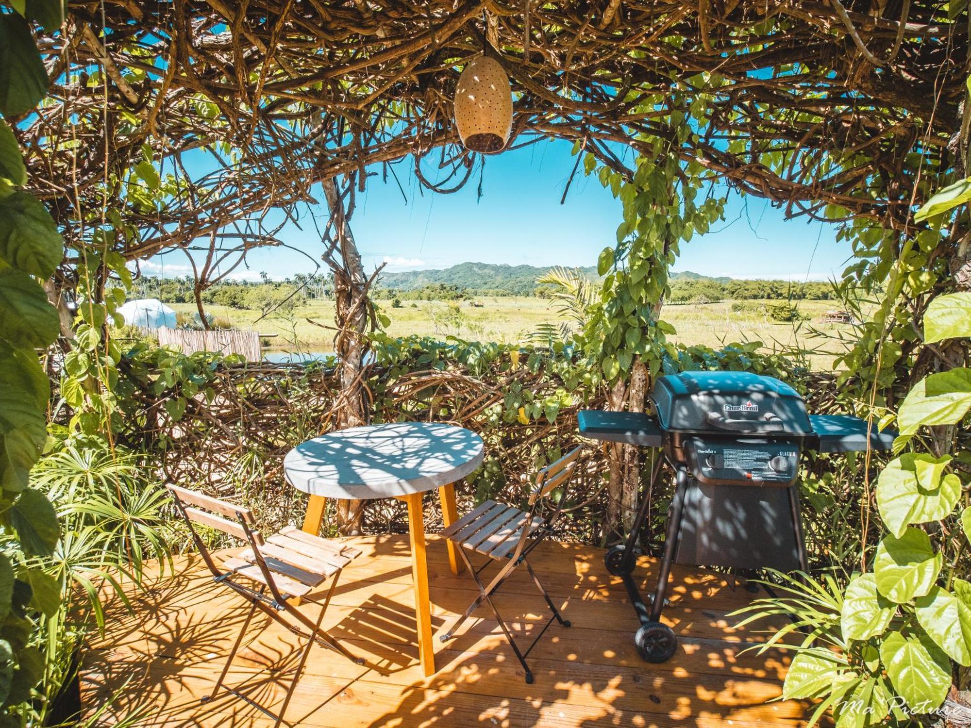 Greenland Bubble Glamping Cabarete Rom bilde