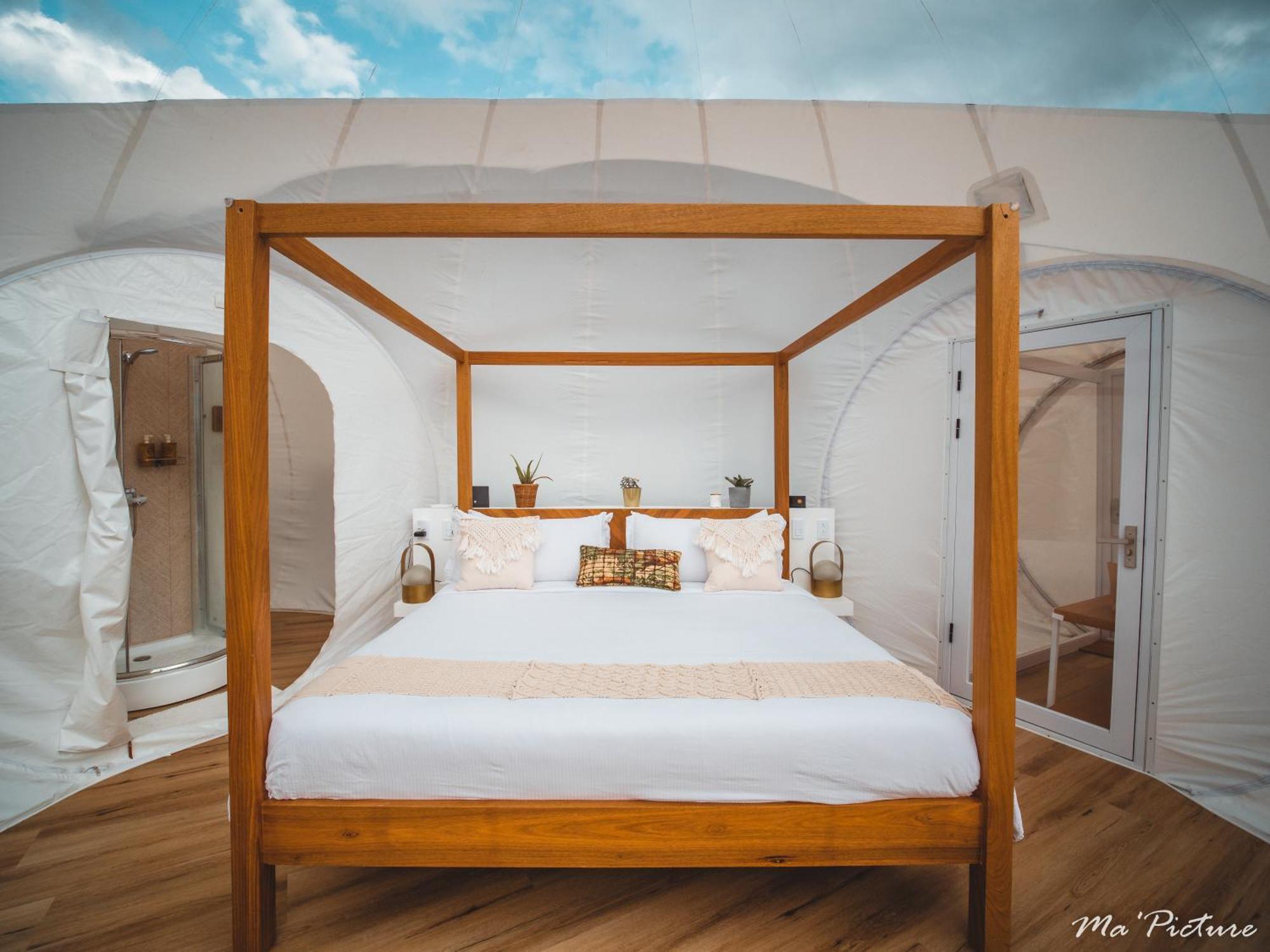 Greenland Bubble Glamping Cabarete Rom bilde