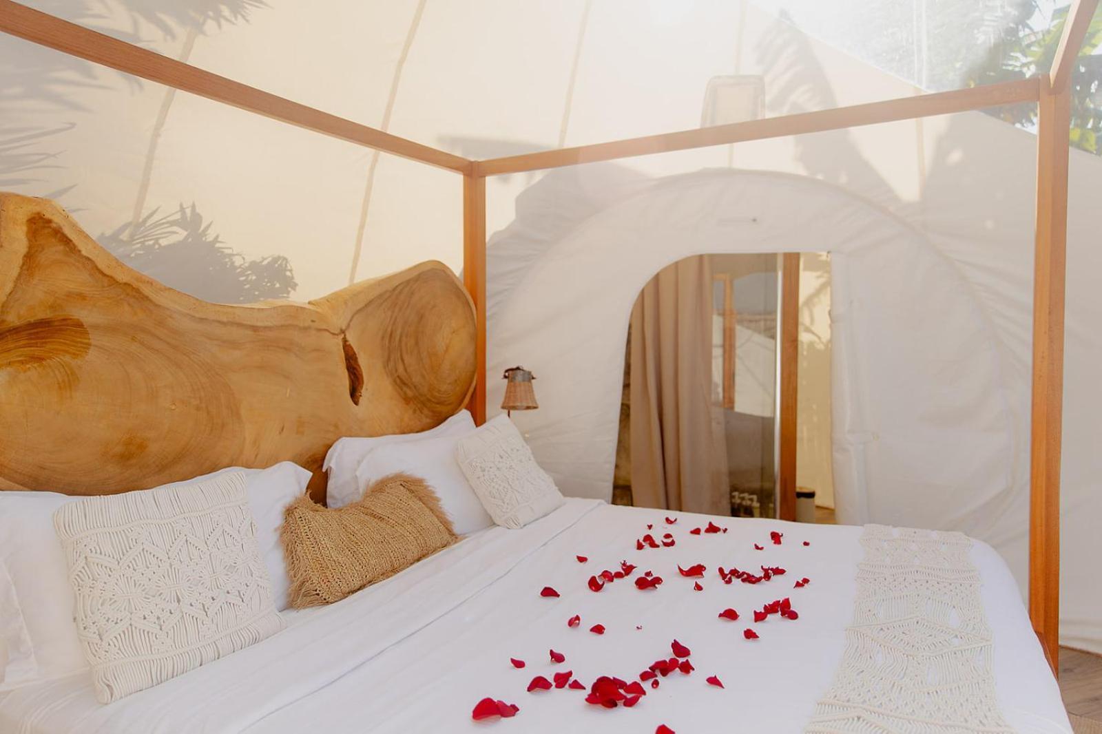 Greenland Bubble Glamping Cabarete Eksteriør bilde